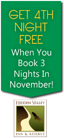 November Special. 4th night free.